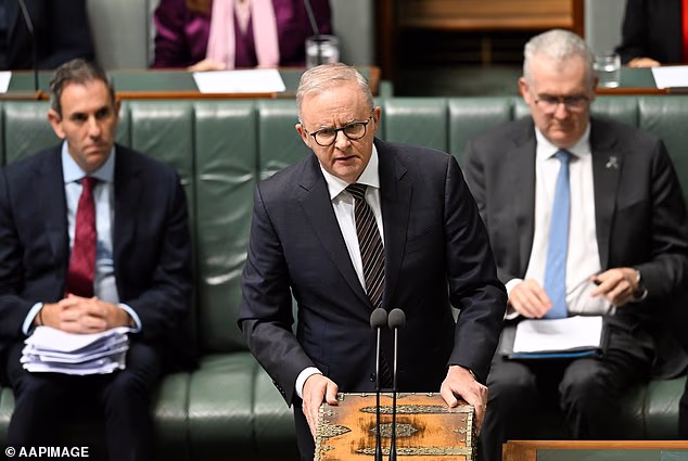 Mrs Rinehart took aim at  growing government costs, saying that 'the larger governments get, the more they take from taxpayers'. Pictured, Anthony Albanese on Thursday