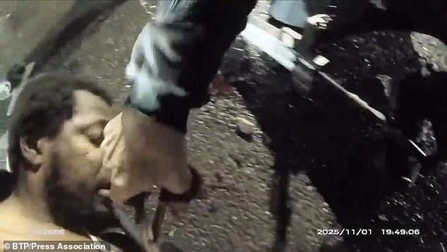 The moment Williams was arrested by officers was captured in bodycam footage