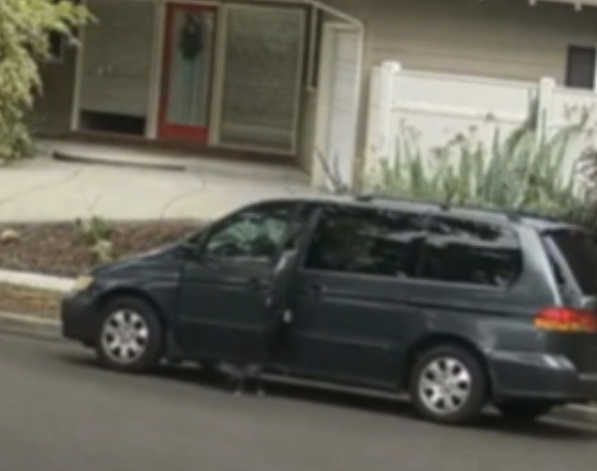 NEW: Orange County Woman Who Fatally Crushed Her Puppy with Minivan Hit with Federal Charges