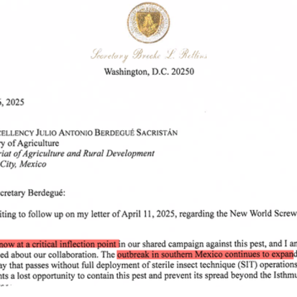 US Warns Mexican Beef Imports May Halt Next Week Over Flesh-Eating Fly Crisis
