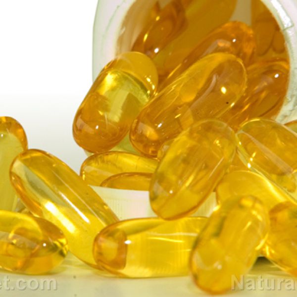 U.K. study finds omega-3s shape kinder, smarter kids