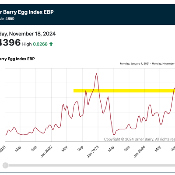 Egg Prices Surge Again As Grocers Face Shortages Amid Bird Flu Outbreak