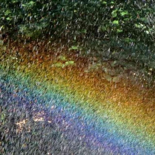 Electricity Captured from Falling Rain Conjures the Ultimate Picture of Tropical Sustainability