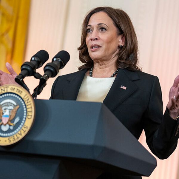 Kamala Harris Claims 'an Undocumented Immigrant Is Not a Criminal'