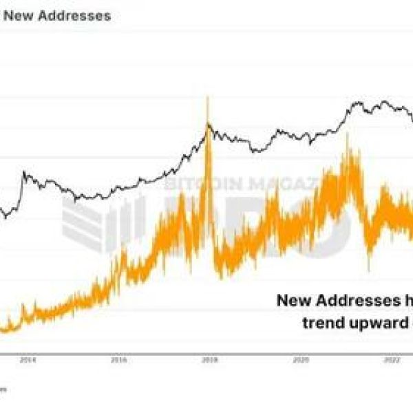 Are Retail Investors Behind The Bitcoin Price Surge?