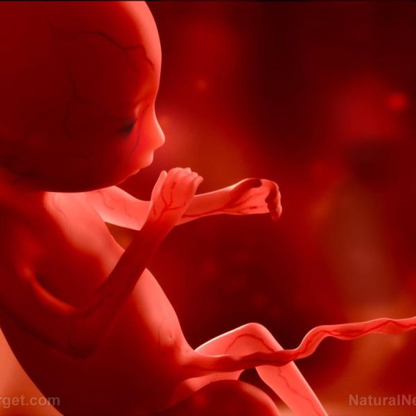 CDCâ€™s dangerous gamble: Pregnant women and their unborn babies at put at unreasonable RISK from SIX toxic vaccines