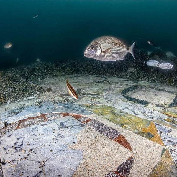 Sumptuous marble floor of sunken Roman villa discovered and restored underwater in Italy