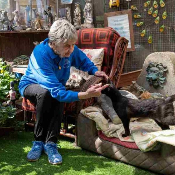 90-year-old Who Has Saved Over 10,000 Animals at Sanctuary Has No Plans to Retire