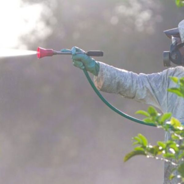 U.S. Waterways Under Attack: Public Kept in Dark as Toxic Diquat Spraying Begins: ‘This Will Kill Everything’